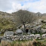 Rocalva fb img 1770562931082 vidoerinho