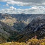 Rocalva fb img 1770564379505 valedolaço