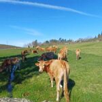 Campos e o Alto do Trovão campos 1 ma