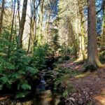 Campos e o Alto do Trovão campos 2 ma