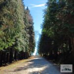 Campos e o Alto do Trovão campos 3 ma2