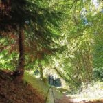 Levada da Víbora C020_A levvibora 1ma