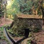 Levada da Víbora C020_A levvibora 2ma