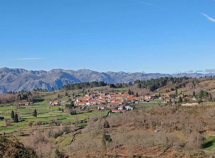 Início campos capa ma