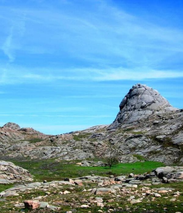 fb img 1770562998028