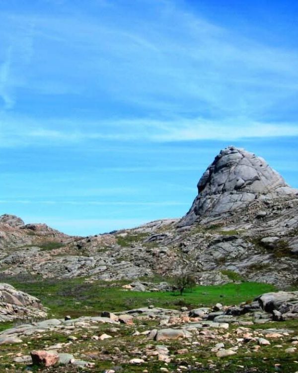 fb img 1770562998028