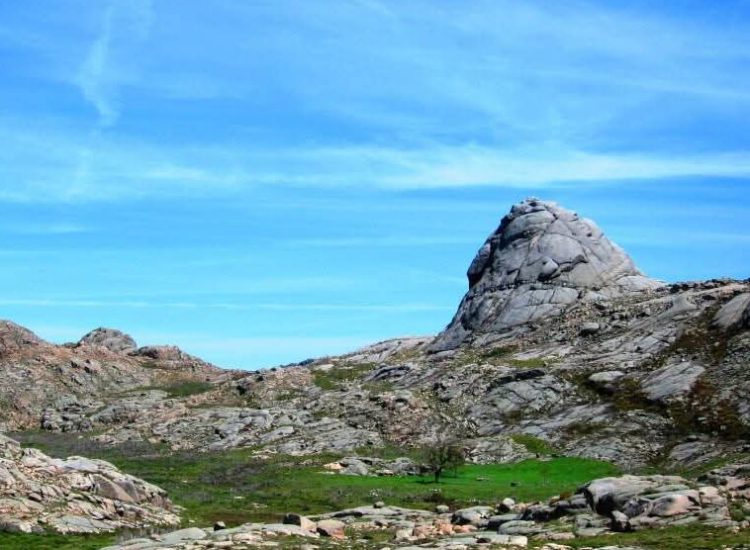 Início fb img 1770562998028