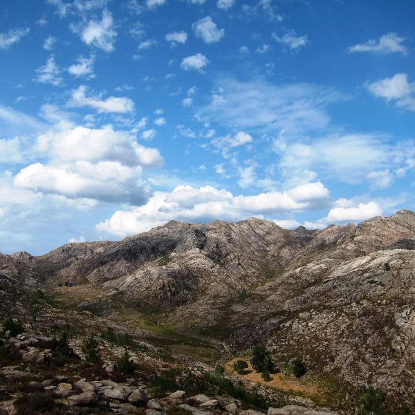 fb img 1771105859946